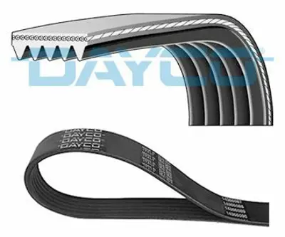 DAYCO 5PK875 V Kayısı 93BB6C301CD