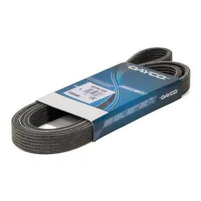 DAYCO 6DPK1698 V Kayısı 11288574957