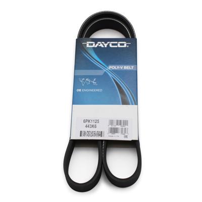 DAYCO 6PK1125 Kanalli Kayis (6pk1125) Klimali Tu3jp Tu5jp4 Et3j4 307 Em 107 C2 C3 - C3 Pluriel Transporter T5 Polo 1,4 1,9tdi Golf Iv Polo 1,6 1,8 5750GE, 5750GN, 5750VT, 4402599, 575191, 1613845980, 96144509, 5750A6, 5750J5, 9110599