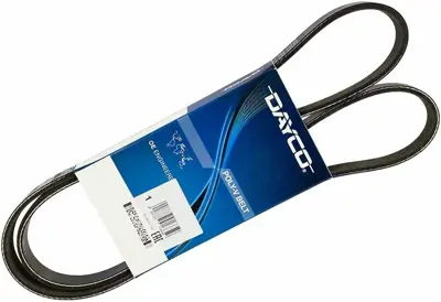 DAYCO 6PK1502S V Kayısı CM5Q6C301BA