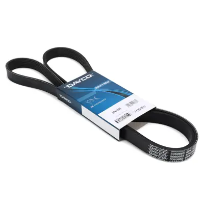 DAYCO 6PK1685 V Kayısı BK216C301CB