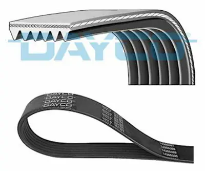 DAYCO 6PK2155S V Kayısı XF2E8620JA, 3023786, 4004766, 4480590, 5L556C301BB, LFJ515909B, LF1715909B, A0019933496, A0039930396, A0119971992