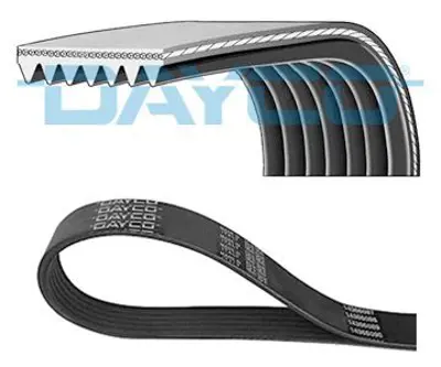 DAYCO 7PK1140 V Kayısı 11720-ED00B