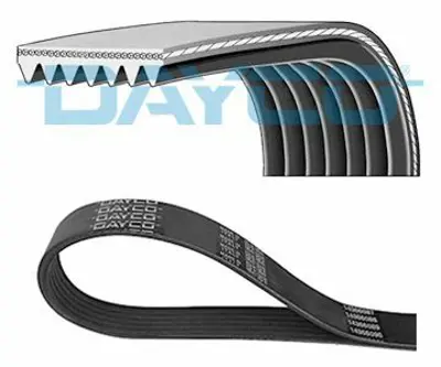 DAYCO 7PK1715 V Kayısı 60595446
