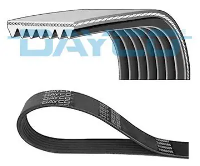 DAYCO 7PK2119 V Kayısı 9091602571, 9091602554, 99367D2120, ERR4460, 90916A2001, 99367A2120, 99367H2120, 99367K2120, 90367D2120, 7PK2120
