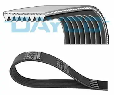 DAYCO 8PK2120HD V Kayısı Kanallı Scanıa P-G-R-T Serı 04> 1444203, 1803336, 3289963