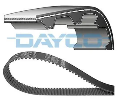 DAYCO 94840 Eksantrik Kayısı (141x254) Partner Berlıngo 206 306 307 C4 C5 Jumper Jump Xsara Scudo 2,0hdı Ct987 081696