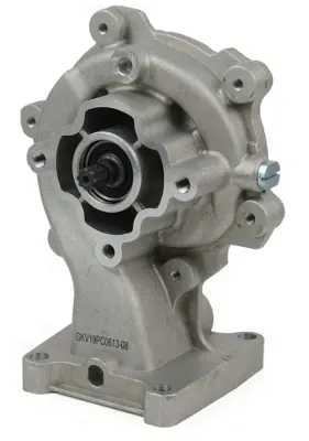 DAYCO DP289 Devirdaim XS7Q8K500AM