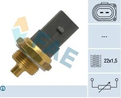 FAE 33786 Hararet Müsürü 6R0919501