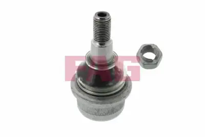FAG 825 0121 10 Rotıl Alt A2113300435