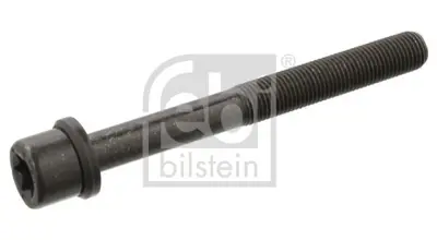 FEBI BILSTEIN 06543 Silindir Kapak Saplaması 607256, 90466480, S4501060, TR4501060