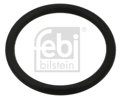 FEBI BILSTEIN 100999 Karter Tapa Orıng Fıat Stılo 1.6 05>07 Corsa C Corsa D Astra J Merıva B Mokka (2mm Kalınlık) 1103J1