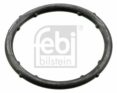 FEBI BILSTEIN 18766 Keçe Sogutma Suyu Flansı Icın Amarok 4 Motıon (S1) Caddy 1 ( 37121687