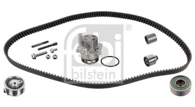 FEBI BILSTEIN 45116 Eksantrik Rulman Kiti (Devirdaimlı) Crafter Ckub Caaa Caab Cay A4 A5 A6 Q5 Golf Vı T6 Leon Octavıa S 3L198119FS1