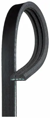 GATES 3PK753 V Kayısı 8200041848