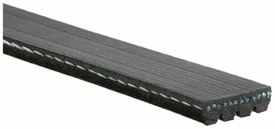 GATES 4PK1520 Kanalli Kayis Transit T15 2 5d 8v (85 01) 4pk1520 864F8620A2A