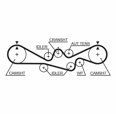 GATES 5537XS Triger Kayısı 13028-AA181