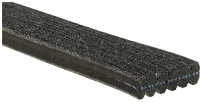 GATES 6DPK1215 Kanalli Kayis Caddy 1 9tdi Sdi 8v 04=> 2 0tdi 8v 07=> Transporter T5 1 9tdi 8v (03 09) 038903137S
