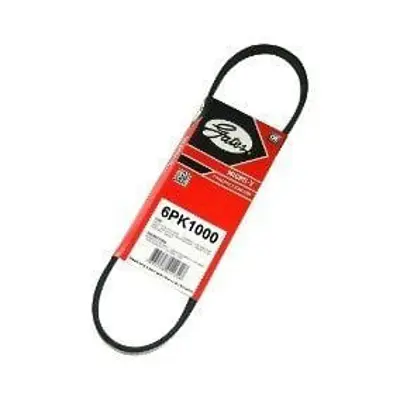 GATES 6PK1000 Kanalli Kayis Peugeot 307 2 0 16v (01 09) 407 1 8 2 0 16v 04=>c4 C5 1 8 2 0 16v (04 08) Ferrari 456 4E145933A, 6A260849YA, 9653204180, 9653204380, 99919229950