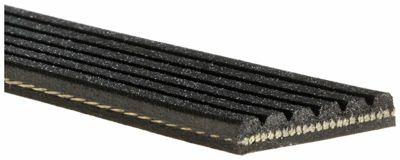 GATES 6PK1010 Alternatör (V) Kayışı 96155010, 5750J2, 5750E8, 5750T2, 5750VA, 575000000000, 575E11, 128067, 5750PF, 5750XG