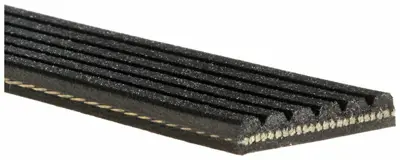 GATES 6PK1920 Kanalli Kayis Renault 3 0dci Opel Vectra 3 0cdti 24v Focus 1 6 Bnz Audi Chevrolet Ford Toyota 98MF6C301DA