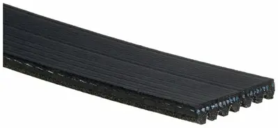 GATES 7PK1051SF V Kayısı 117203168R, 117204148R, 117203866R, 117208440R, 117208440RS1, 1172000Q8F, 119230001R, 119238274R, 1195500Q1B, 11281747922