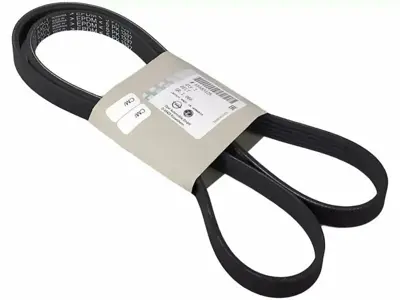 PSA 55583125 V.Kayış  A14net 1340053, 55583125