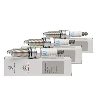 PSA 1654509380 Buji 1654509380