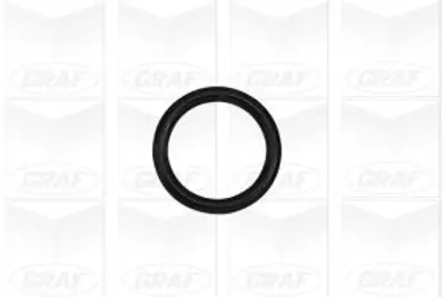 GRAF PA1023 Devirdaim Accent Era 06-11 -Getz 05 İ30 07 Cee D-Cerato-Rıo 05 1.5crdı-1.6crdı 251002A001