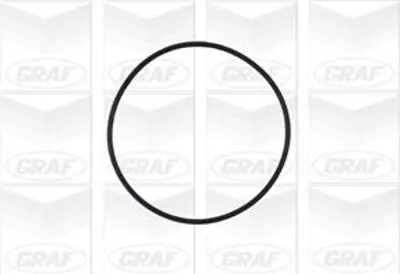 GRAF PA572A Devirdaim Vectra B-A-Astra G 02-05 -Astra H 04 -Omega B-Zafıra-Captıva-Lacettı 2.0 X20xev 1334053, 1334139, 1334170, 24409355, 9192370, 95507627