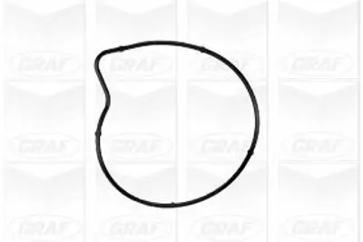 GRAF PA978 Devirdaim Mercedes W169-245 M266-Om640 2004-2011 A-B Class A6402000301, MN960428