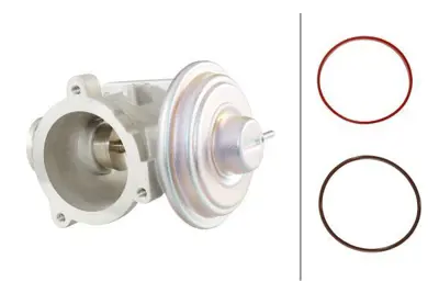 HELLA 6NU010171-701 Egr Valfı BMW M47 M57 E87 E90 E92 E93 E60 E65  X3 E83  X5 E53 E70 11717793484