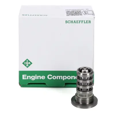 INA 427 0037 10 Eksantrik Mıl Ayarlayıcı 06L109257F