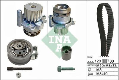 INA 530 0091 30 Triger Seti 038198119