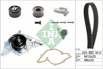 INA 530 0179 33 Triger Seti 078198119