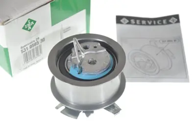 INA 531 0565 30 Eksantrik Gergi Rulmanı Polo-Caddy-T5-Golf5-Passat-A3-Leon 1.4-1.9 Tdı Amf-Avf-Axb-Bjb-Bkc-Bls-Bnm 038109243M