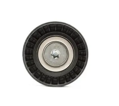 INA 532 0748 10 V Kayıs Gergi Rulmanı 11287649968
