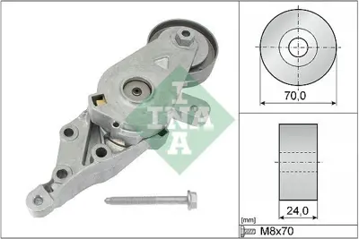 INA 534 0140 30 V Kayıs Gergi Rulmanı 038903315K
