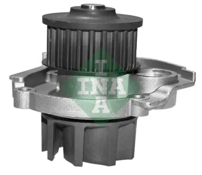 INA 538 0062 10 Devır Daım 4893386AA