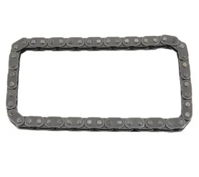 INA 553 0341 10 Yağ Pompa Zıncırı 038115230