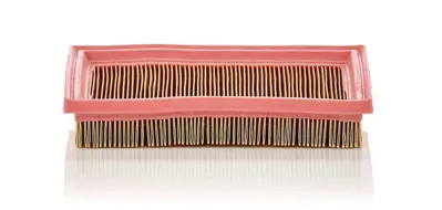 MANN FILTER C 2244 Hava Filitresi 2S619601CA, C60113Z40A