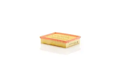 MANN FILTER C 25 035 Hava Filitresi DS739601BA