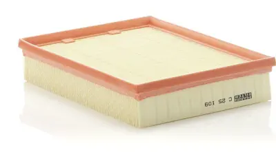 MANN FILTER C25109 Hava Filitresi Laguna Iıı Latıtude 1,5dcı - 2,0dcı 8200602361