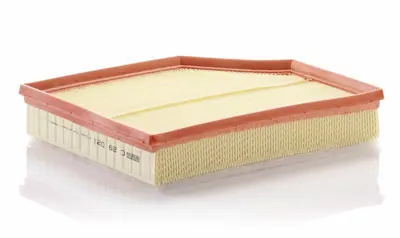 MANN FILTER C 29 021 Hava Filitresi 31370089, 313700890