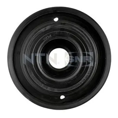 NTN / SNR DPF355.24 Krank Kasnağı 8200664346