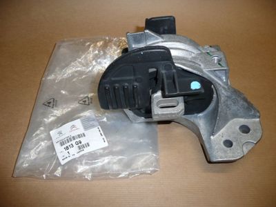 PSA 1813.G9 Flexıble Bush 1813G9