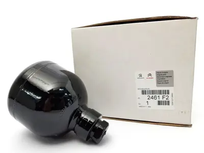 PSA 2461.F2 Vıtes Aksıyonerı Basınç Tüpü 2461F2