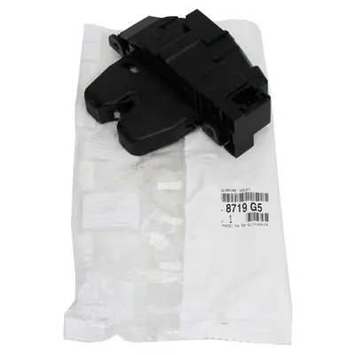 PSA 8719.G5 Bagaj Kilidi 8719G5