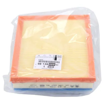 PSA 9813908880 Hava Filtresi 39192256, 9813908880