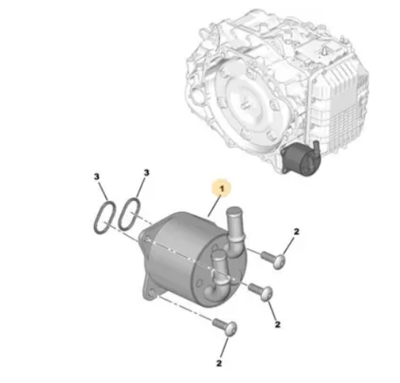PSA 9824606980 Dıstrıb Chamber 3556490, 9824606980